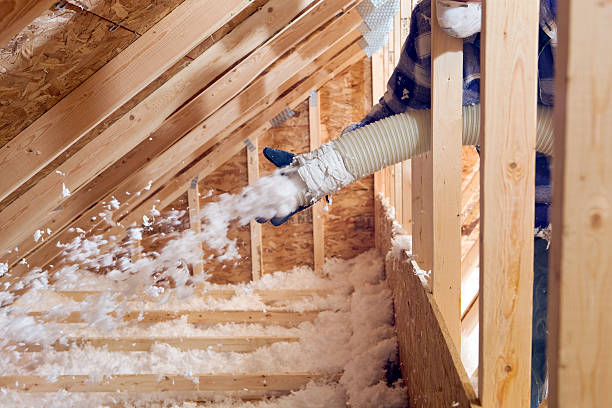 Best Soundproof Insulation  in Temple, TX